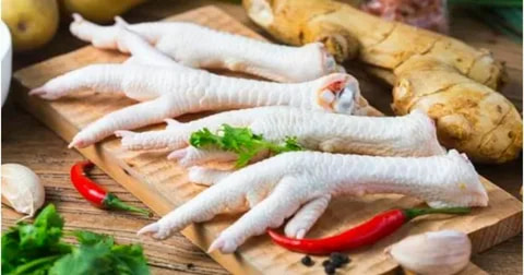 معرفی پای مرغ گوشتی + بهترین قیمت خرید